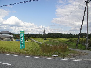 DSC00425.jpg