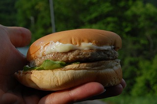 DSC_0510.jpg