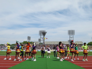 京都バーガーフェスタスタジアム2.jpg