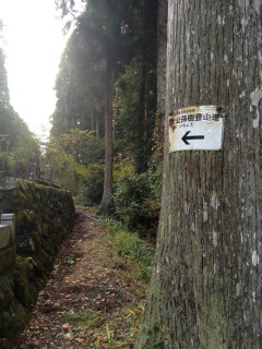 2012・11銀杏登山道.jpg