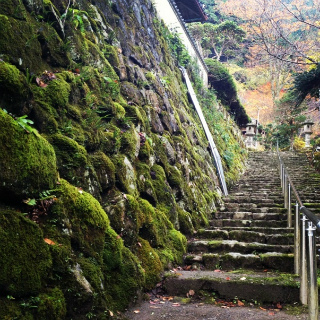 2012・11銀杏階段.jpg